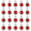 20Pcs Faceted Glass Charms RGLA-TADJ0001-01C-2