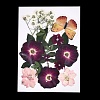 Pressed Dried Flowers DIY-YWC0001-98-1-1