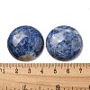 Natural Sodalite Cabochons G-C115-02B-18-3