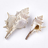 Conch Shell Beads SSHEL-S258-57-2