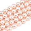 Wrinkle Textured Shell Pearl Beads Strands BSHE-E016-10mm-09-1