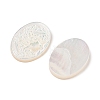 Natural White Shell Carved Cabochons SSHEL-I026-02A-02-2