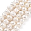 Natural Cultured Freshwater Pearl Beads Strands PEAR-C003-15F-2