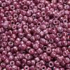 TOHO 6/0 Round Beads SEED-TR06-1202-4