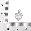 Brass Glass Charms KK-A269-51P-3