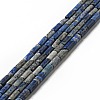 Natural Lapis Lazuli Beads Strands G-I326-05B-1