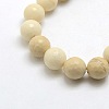 Natural Gemstone Petrified Wood Round Beads Strands G-O021-12mm-12-2