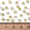 Silver Lined Glass Seed Beads SEED-T007-18A-05-4