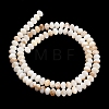 Natural Freshwater Shell Beads Strands SHEL-C010-04A-01-3