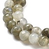 Natural Labradorite Bead Strands G-O155-05B-4mm-5
