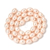 Electroplated Shell Pearl Beads Strands BSHE-B008-07B-2