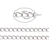 3.28 Feet 304 Stainless Steel Curb Chains X-CHS-Q001-22-5