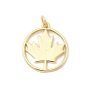 Brass Pendants KK-Z147-13G-1