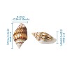 Fashewelry Spiral Shell Beads SSHEL-FW0001-01-11
