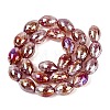 Handmade Lampwork Beads Strands LAMP-N037-04D-2