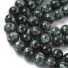 Natural Seraphinite Beads Strands G-C270-O01-11-4