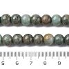 Ombre Effect Dyed Glass Beads Strands X-GLAA-T031-01O-13-5