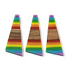 Pride Rainbow Theme Resin & Walnut Wood Pendants WOOD-K012-08A-1