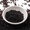 MIYUKI Round Rocailles Beads SEED-X0055-RR2402-2