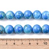 Natural Howlite Beads Strands G-H343-D06-12mm-B-5