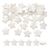 60Pcs Natural Shell Beads Strands SHEL-PH0002-30-7