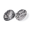 Natural Map Stone Cabochons G-T144-76B-2
