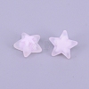 Transparent Acrylic Beads FACR-CJC0001-02B-1