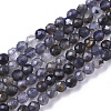 Natural Iolite/Cordierite/Dichroite Beads Strands G-R460-021-1