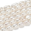 Natural Cultured Freshwater Pearl Beads Strands X-PEAR-N012-05G-5