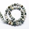 Natural Tree Agate Beads Strands G-I199-03-10mm-2