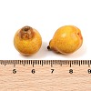 Fruit Series Opaque Resin Beads RE-CBAC4C7-11B-3