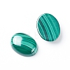 Natural Malachite Cabochons G-E557-03H-1