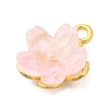 Alloy Glass Charms FIND-C079-05G-3