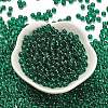 Transparent Colours Glass Seed Beads SEED-C001-02A-12-2