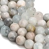 Natural Aquamarine Beads Strands GG-CBA7BB7-A01-10mm-4