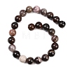 Natural Petrified Wood Beads Strands G-L648-A03-16mm-02-4