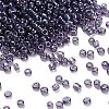 Transparent Colours Glass Seed Beads SEED-H004-01C-1