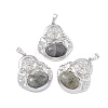 Natural Labradorite Pendants G-H283-01S-1