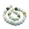 Natural Myanmar Jade Beads Strands G-E576-08B-2