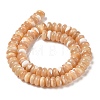 Natural Trochus Shell Beads Strands SHEL-P017-07-2