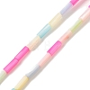 Rainbow Color Dyed Natural Freshwater Shell Beads Strands X1-SHEL-G018-02A-1