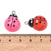 Opaque Resin with Alloy Pendants RE-CBA14F0-04-3