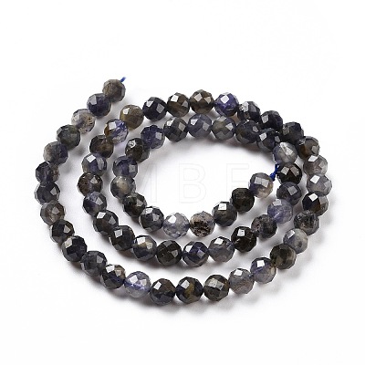 Natural Iolite Beads Strands G-P488-02B-1