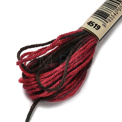 10 Skeins 6-Ply Polyester Embroidery Floss OCOR-K006-A05-1