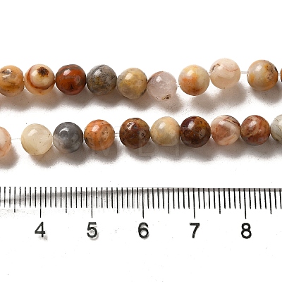 Natural Crazy Lace Agate Round Bead Strands G-M272-03-6mm-1