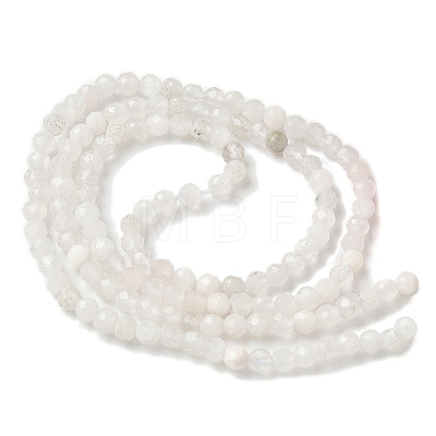 Natural Moonstone Beads Strands X-G-C201-B06-3mm-1