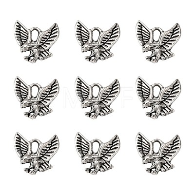 Tibetan Style Alloy Pendants TIBEP-20305-AS-NR-1
