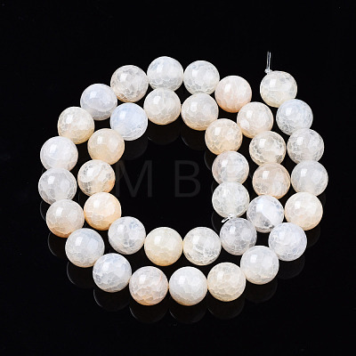 Natural Crackle Agate Beads Strands G-S359-240B-2-1
