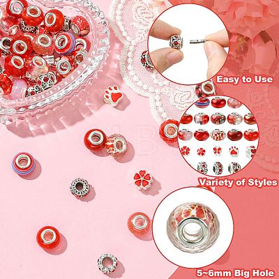 50Pcs Resin European Beads RESI-CJC0050-01C-1