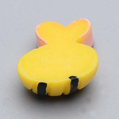 Resin Cabochons CRES-T005-54-1